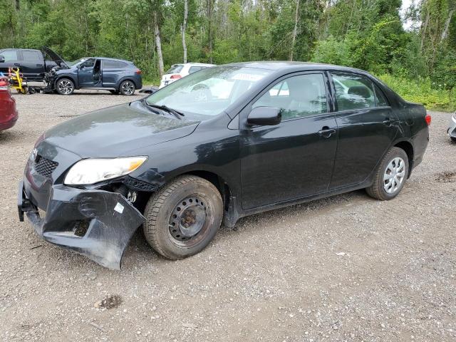 toyota corolla ba 2010 2t1bu4eexac207026