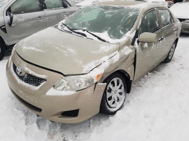 toyota corolla ba 2010 2t1bu4eexac223520