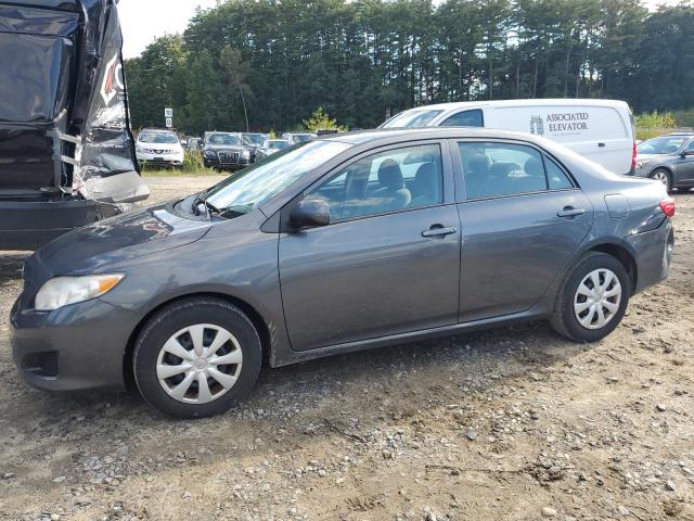 toyota corolla 2010 2t1bu4eexac491712