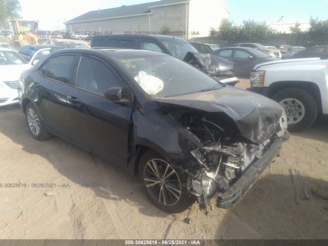 toyota corolla 2016 2t1burhe4gc537617