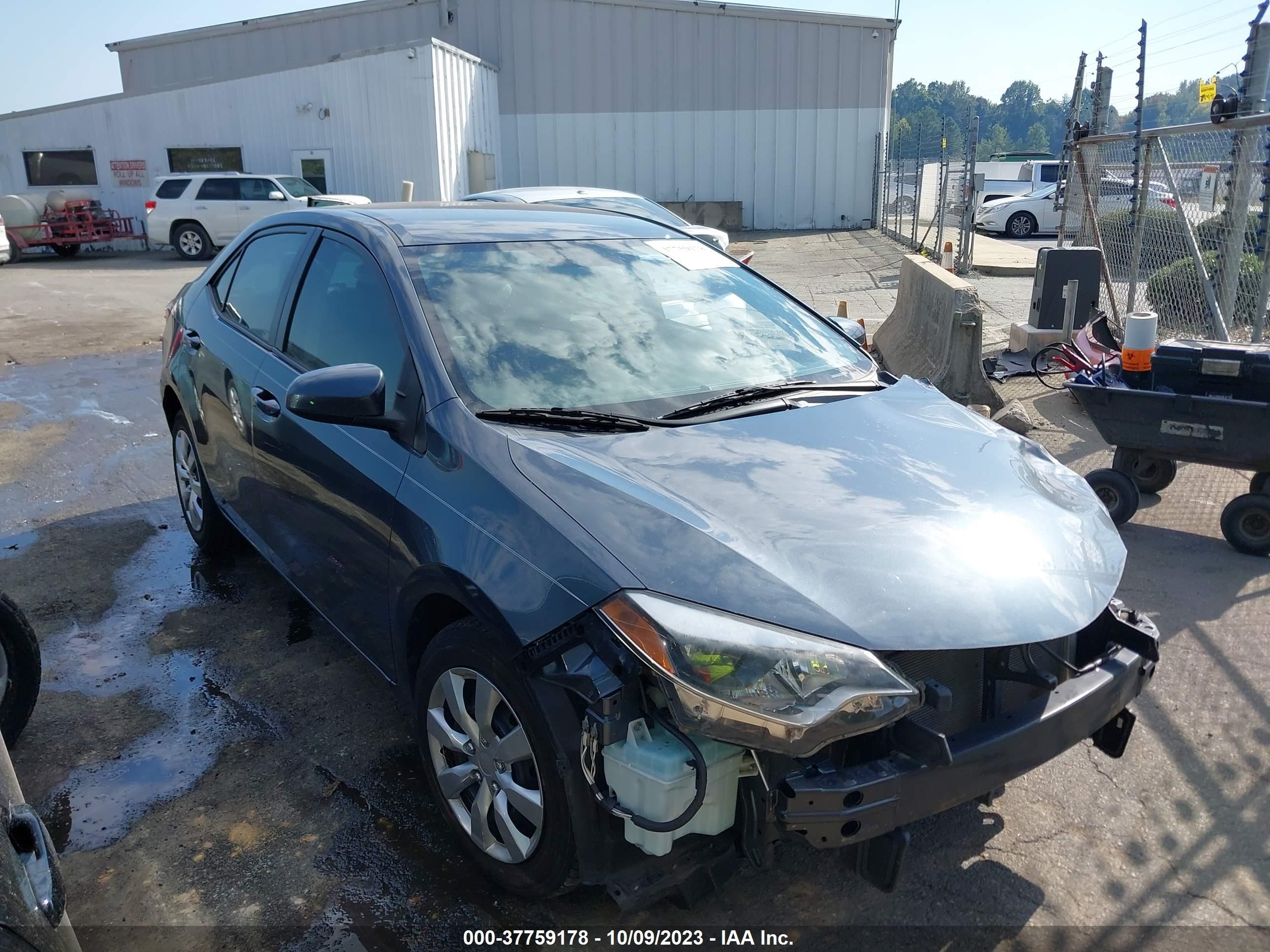 toyota corolla 2016 2t1burhexgc728037