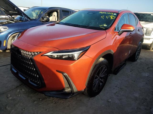 lexus nx 250 2023 2t2adcaz0pc004102