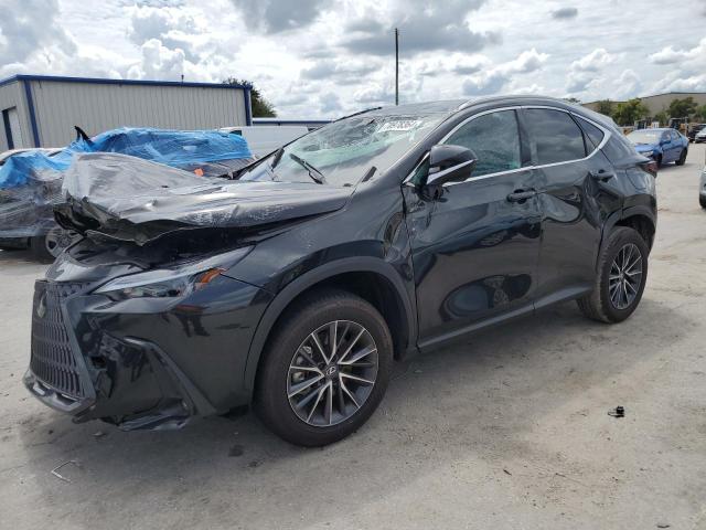 lexus nx 250 bas 2024 2t2adcaz0rc008704