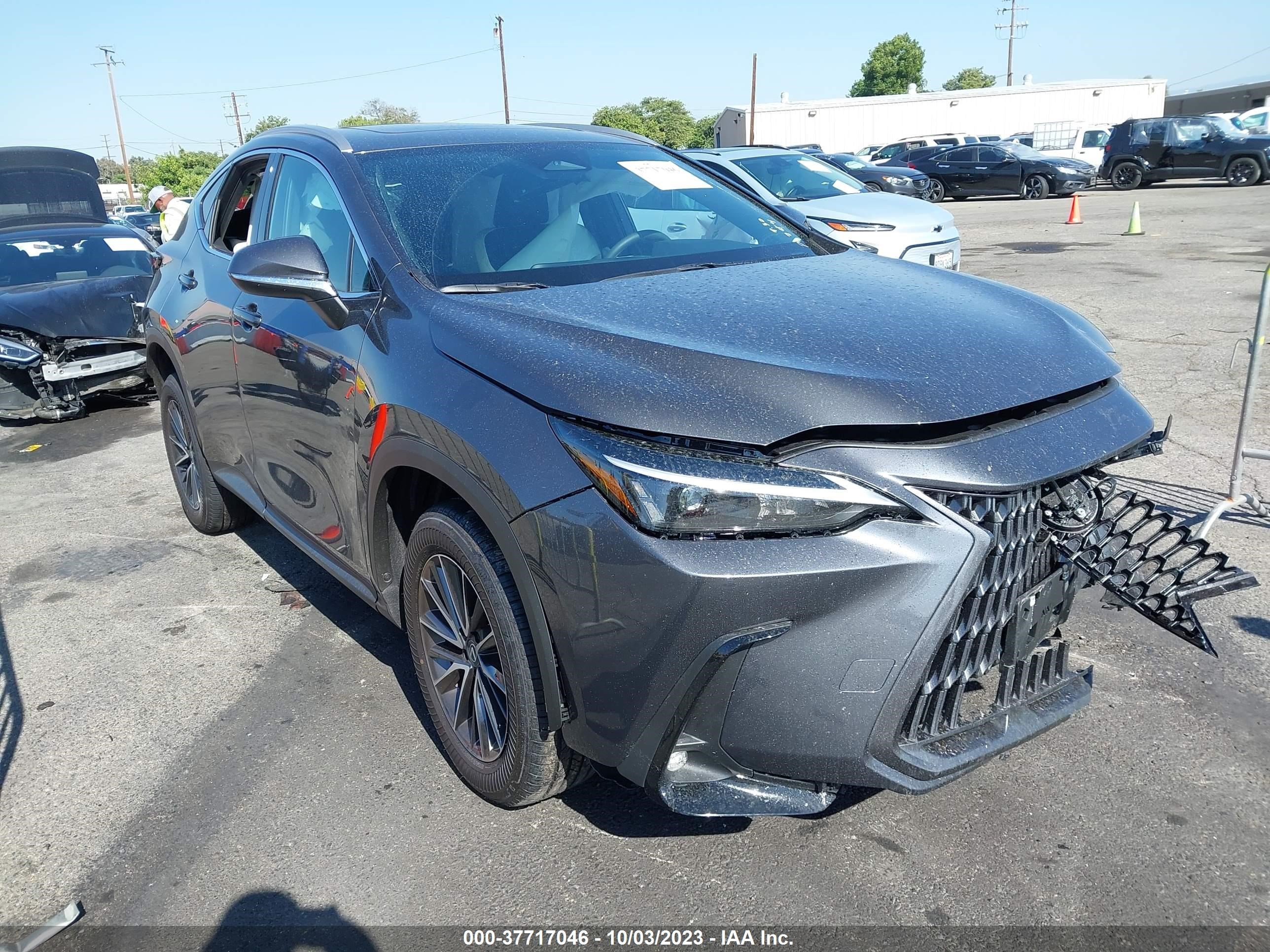 lexus nx 2024 2t2adcaz0rc009867