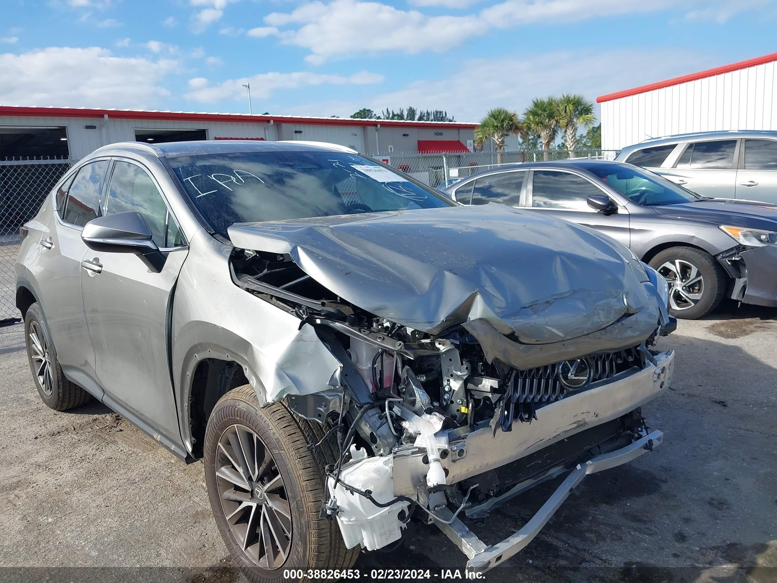 lexus nx 2024 2t2adcaz1rc006184