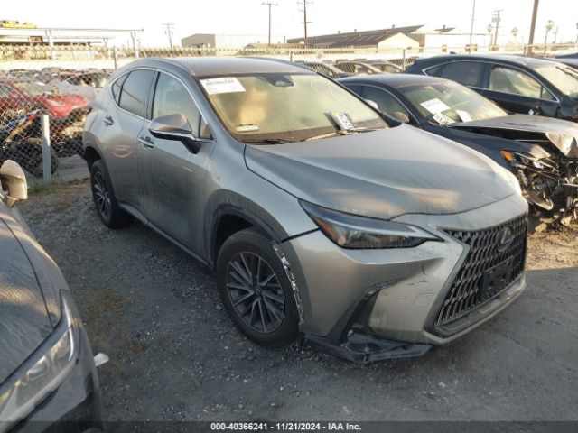 lexus nx 2024 2t2adcaz1rc007027