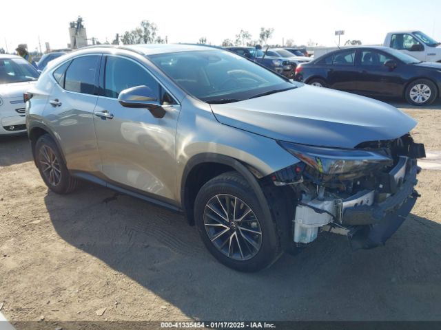 lexus nx 2024 2t2adcaz1rc012342