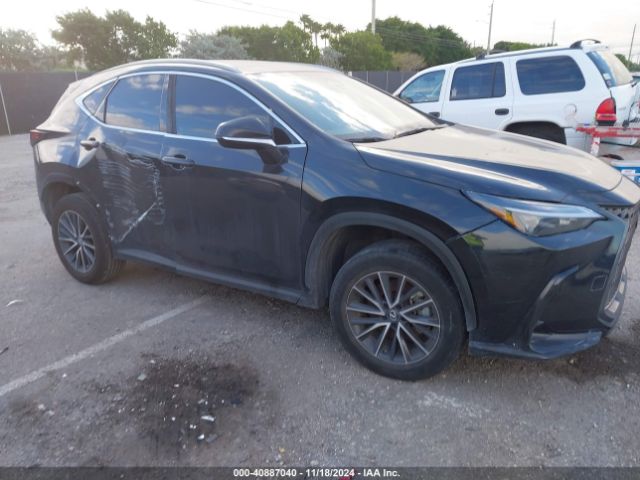 lexus nx 2023 2t2adcaz2pc005669