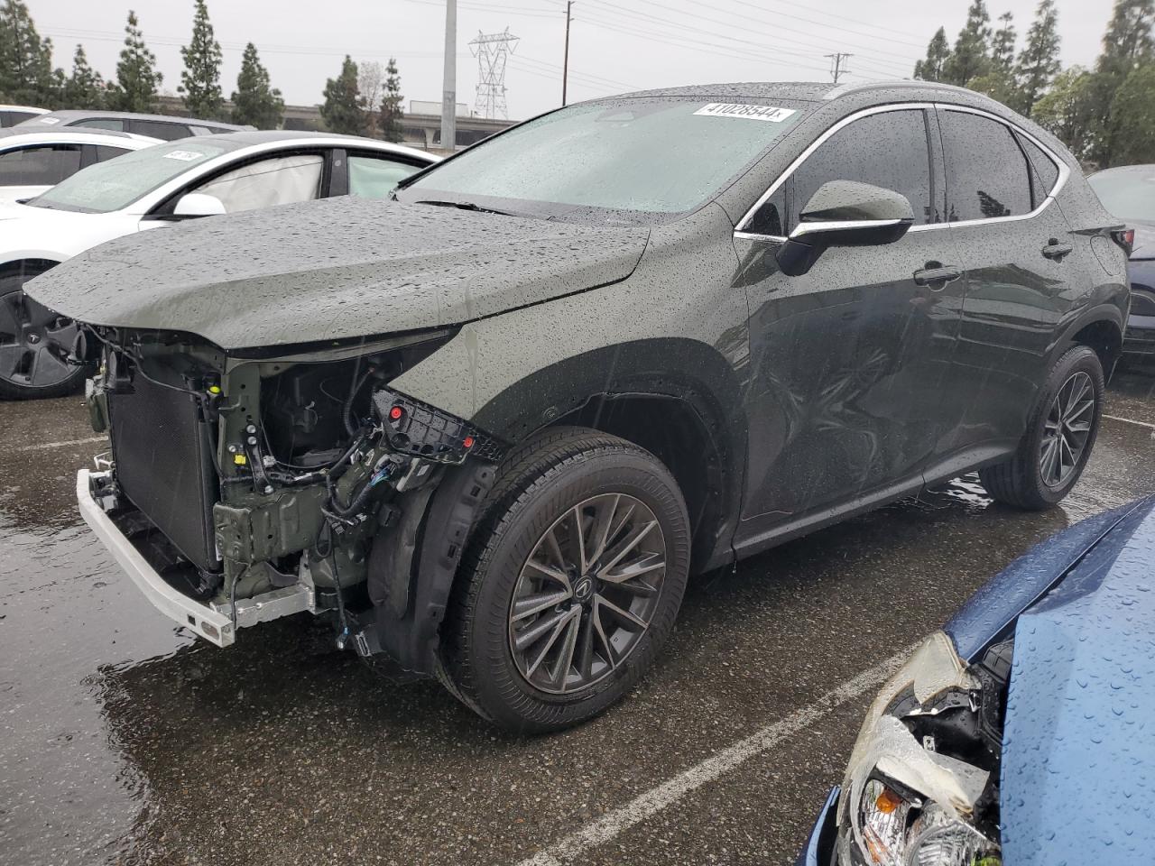 lexus nx 2024 2t2adcaz2rc009885