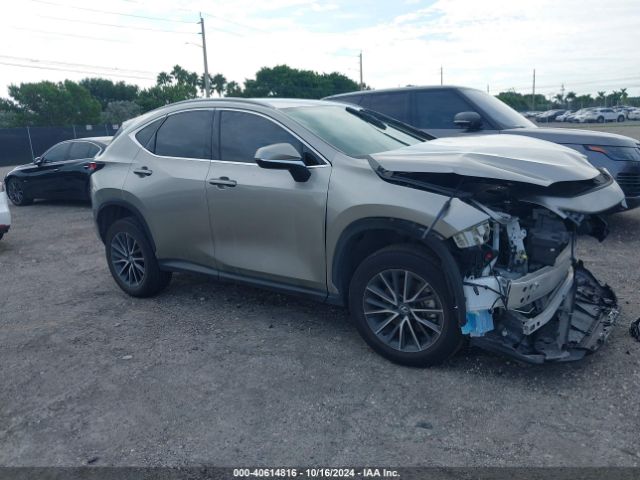 lexus nx 2024 2t2adcaz3rc007935