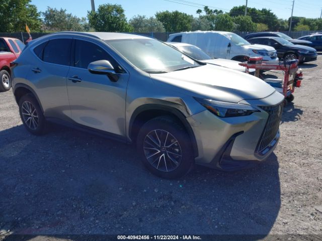 lexus nx 2024 2t2adcaz4rc007572