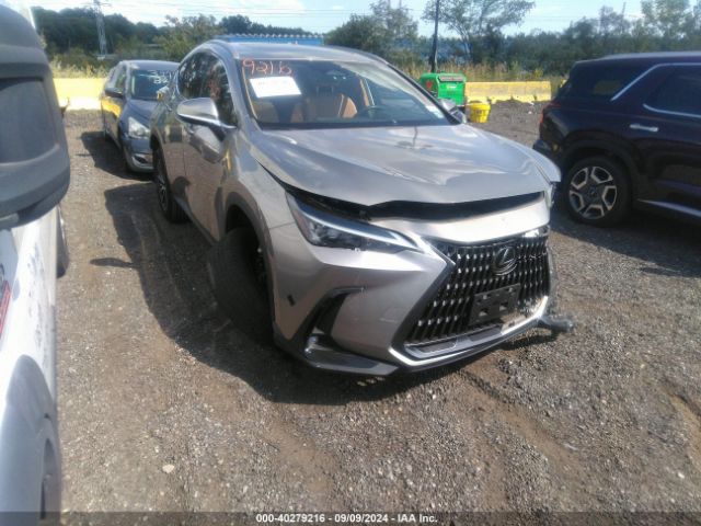 lexus nx 2024 2t2adcaz5rc007175