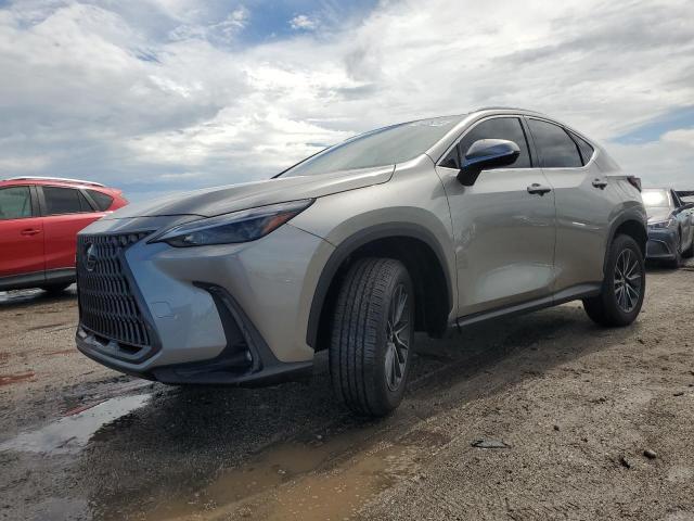 lexus nx 250 bas 2024 2t2adcaz8rc009048