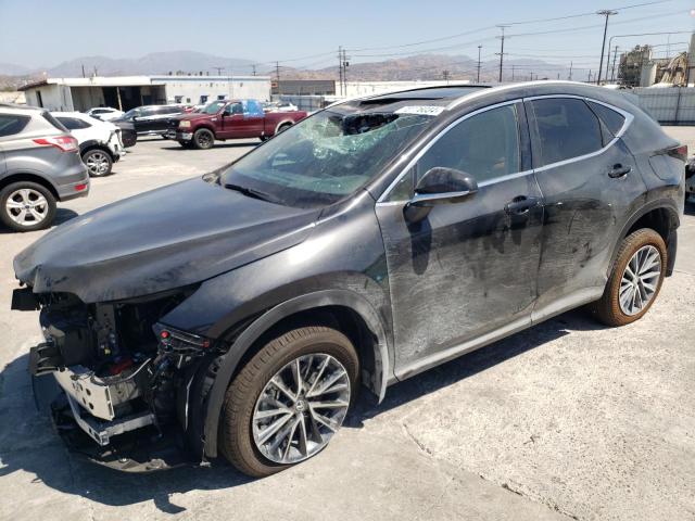 lexus nx 250 bas 2025 2t2adcaz8sc019729