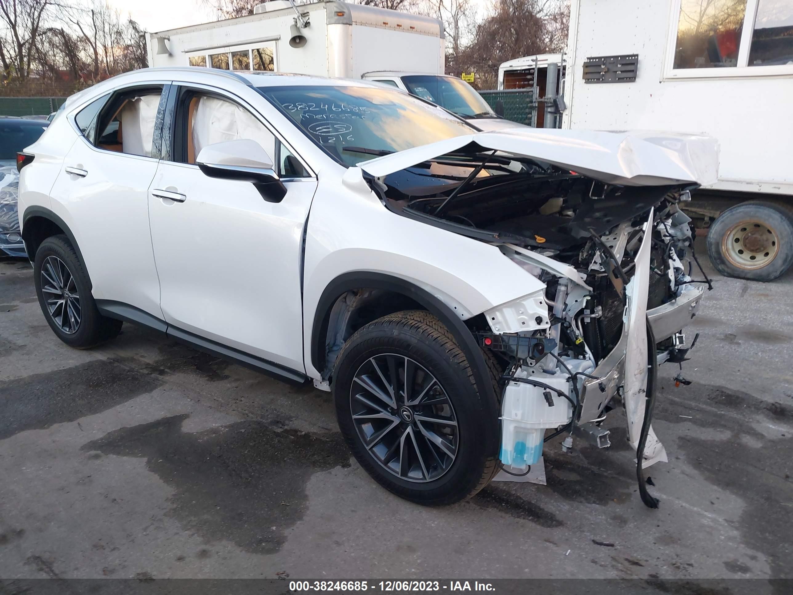 lexus nx 2024 2t2adcaz9rc007017