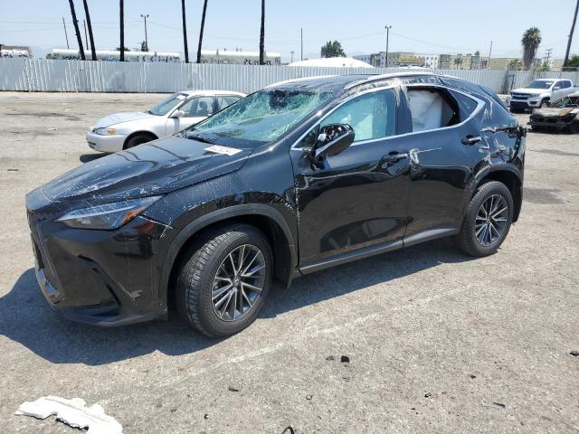 lexus nx 250 bas 2024 2t2adcazxrc014722