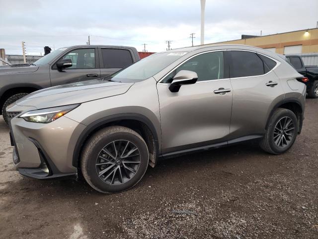 lexus nx 250 2023 2t2adcez2pc003396