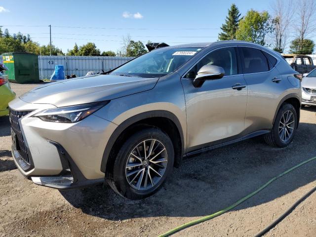 lexus nx 250 2023 2t2adcez2pc003530