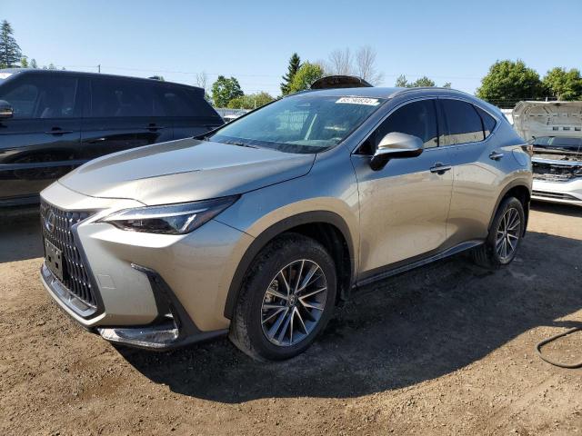 lexus nx 250 bas 2024 2t2adcez4rc004990