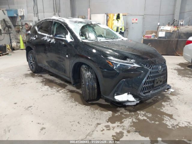 lexus nx 2024 2t2agcez5rc053557