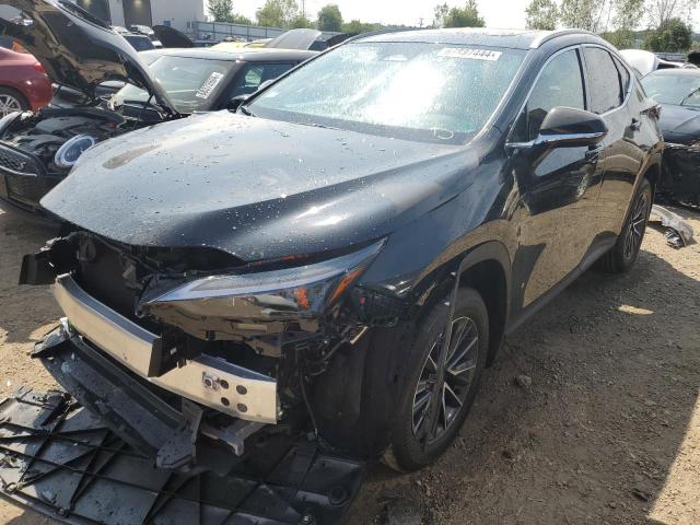 lexus nx 350 bas 2025 2t2agcez5sc065262