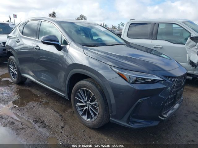 lexus nx 2022 2t2agcez7nc011773