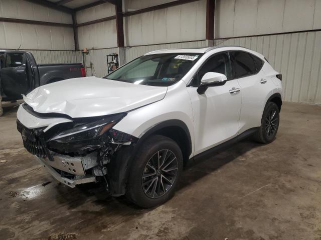 lexus nx 350 bas 2024 2t2agcezxrc034292