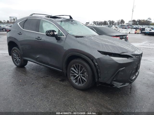 lexus nx 2024 2t2akcez0rc018195