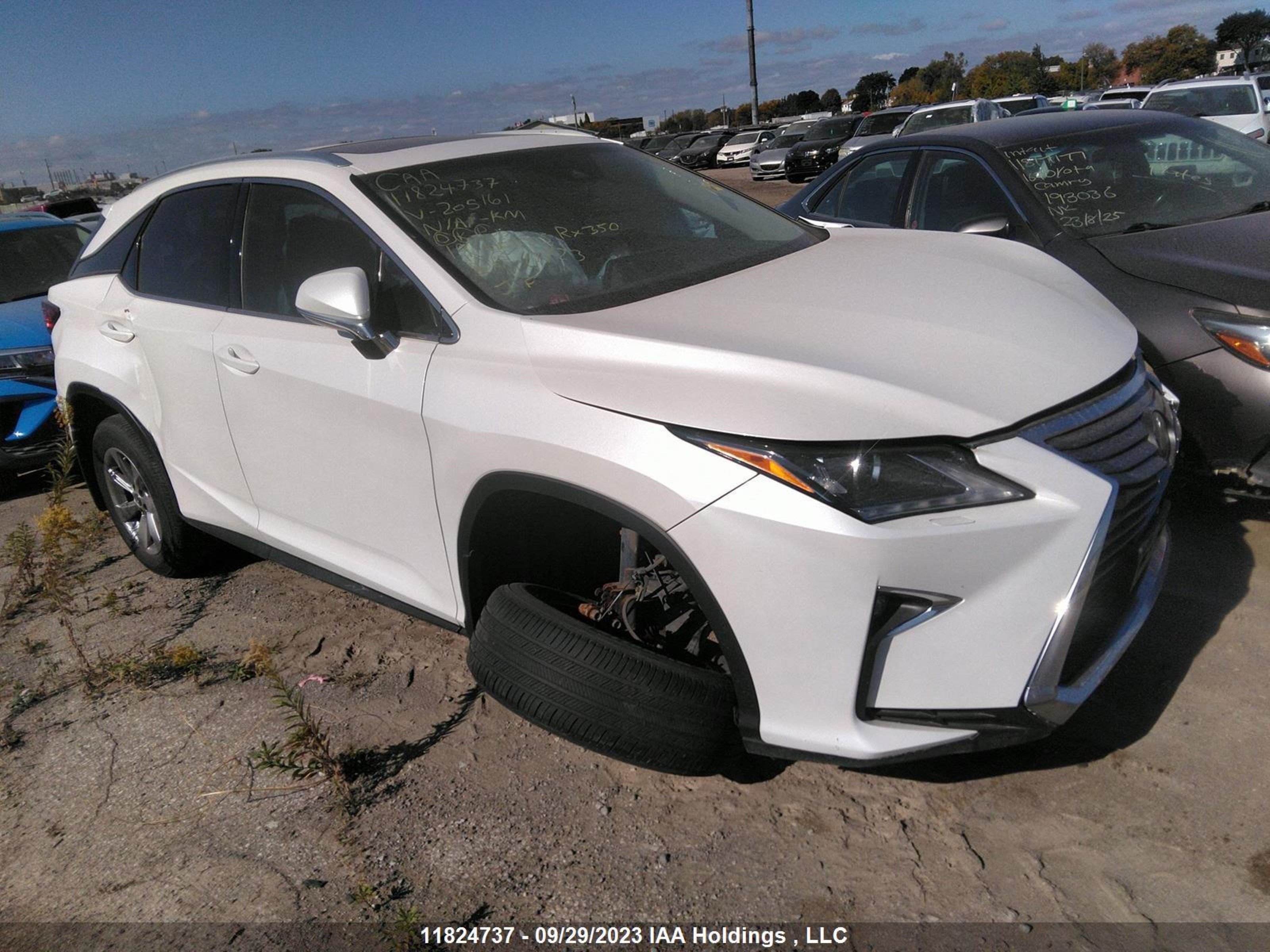 lexus rx 2019 2t2bzmca8kc205161