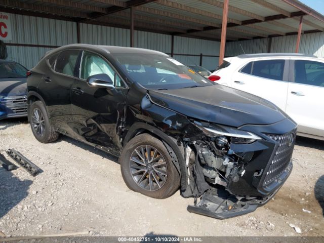 lexus nx 2024 2t2gdcaz0rc008244