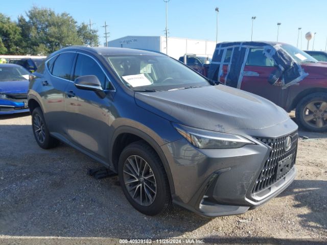 lexus nx 2024 2t2gdcaz1rc015848