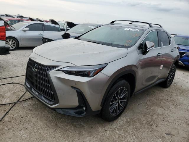 lexus nx 250 pre 2025 2t2gdcaz1sc020425