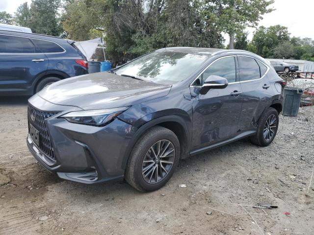 lexus nx 250 2022 2t2gdcaz9nc002873