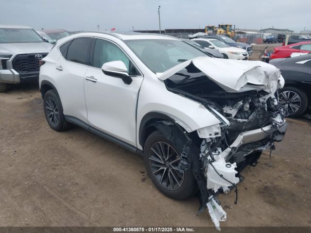 lexus nx 2024 2t2gdcazxrc015315