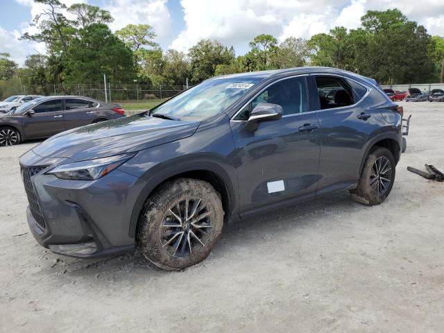 lexus nx 250 pre 2025 2t2gdcazxsc016387