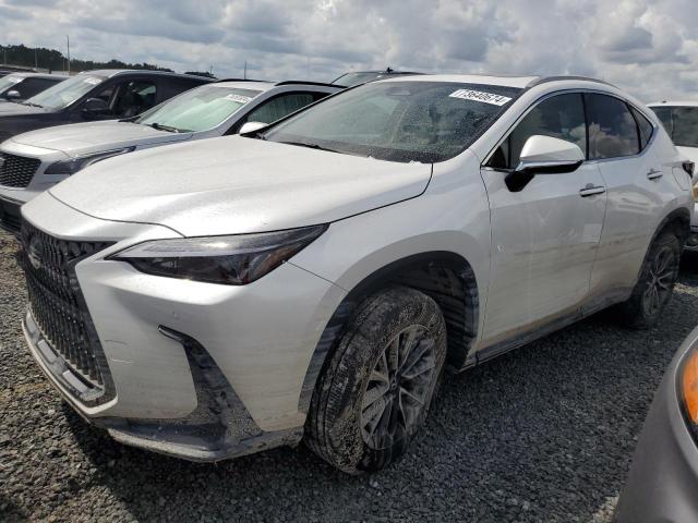 lexus nx 250 pre 2025 2t2gdcazxsc020763