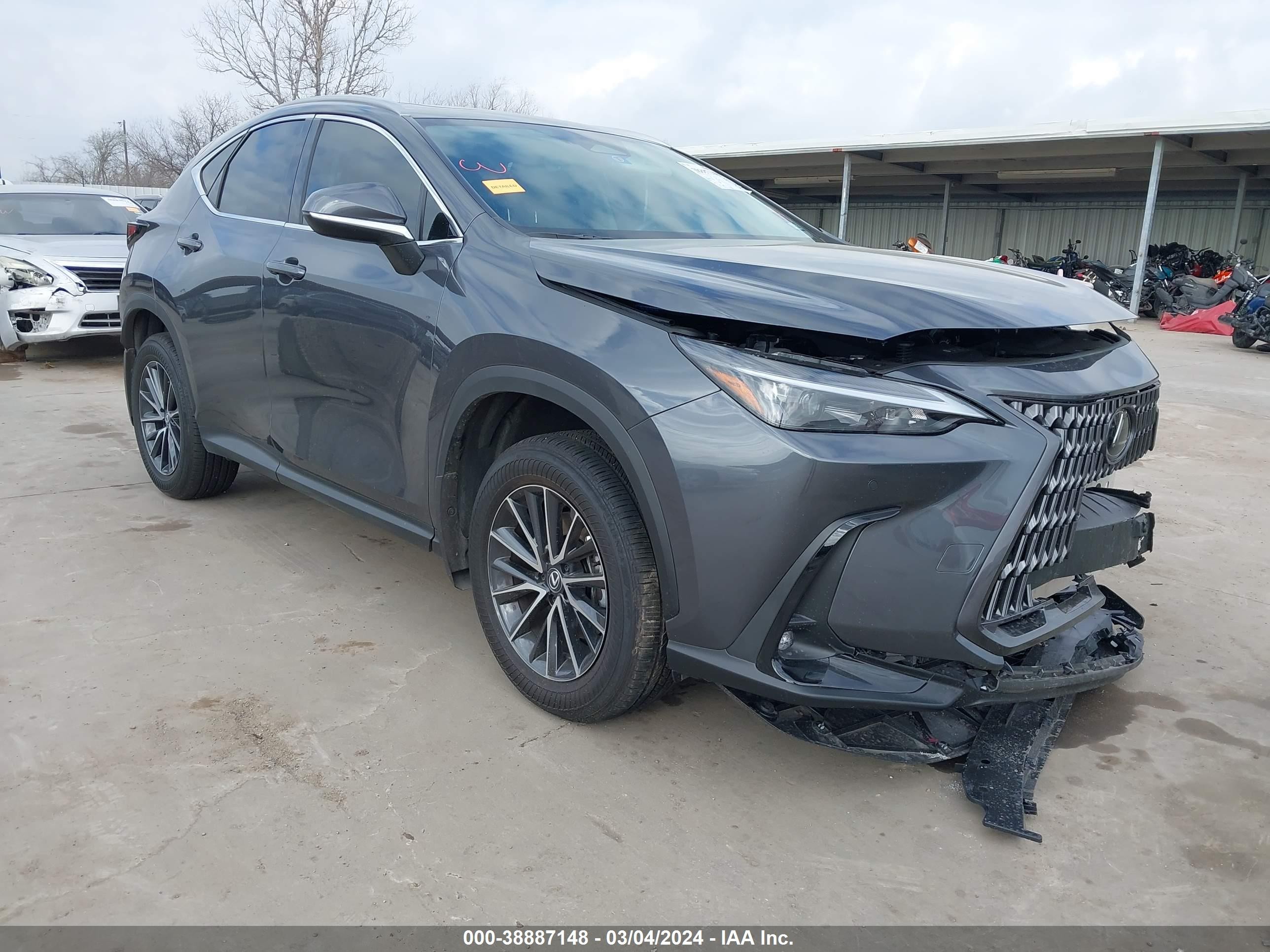 lexus nx 2024 2t2ggcez4rc038140