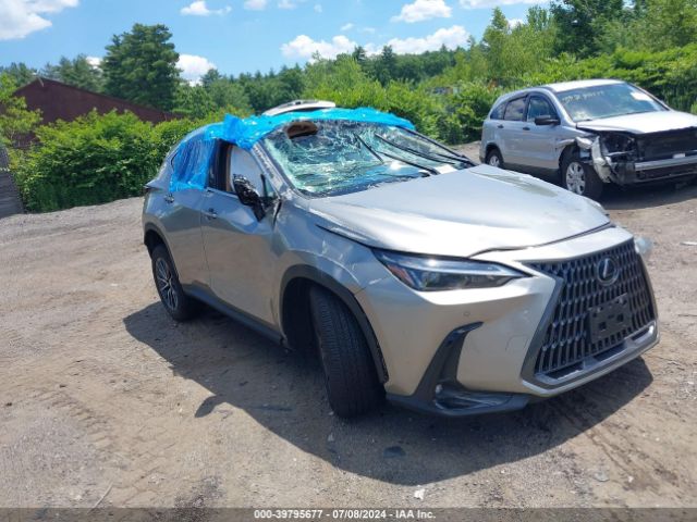 lexus nx 350 2024 2t2ggcez5rc049342