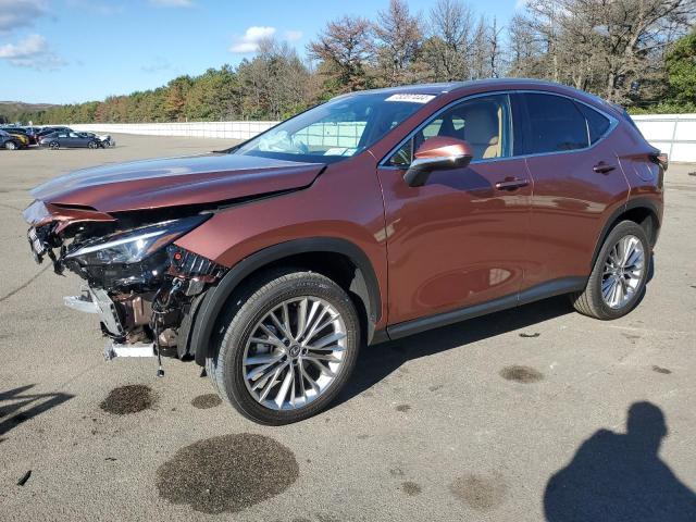 lexus nx 350 pre 2025 2t2ggcez7sc066651