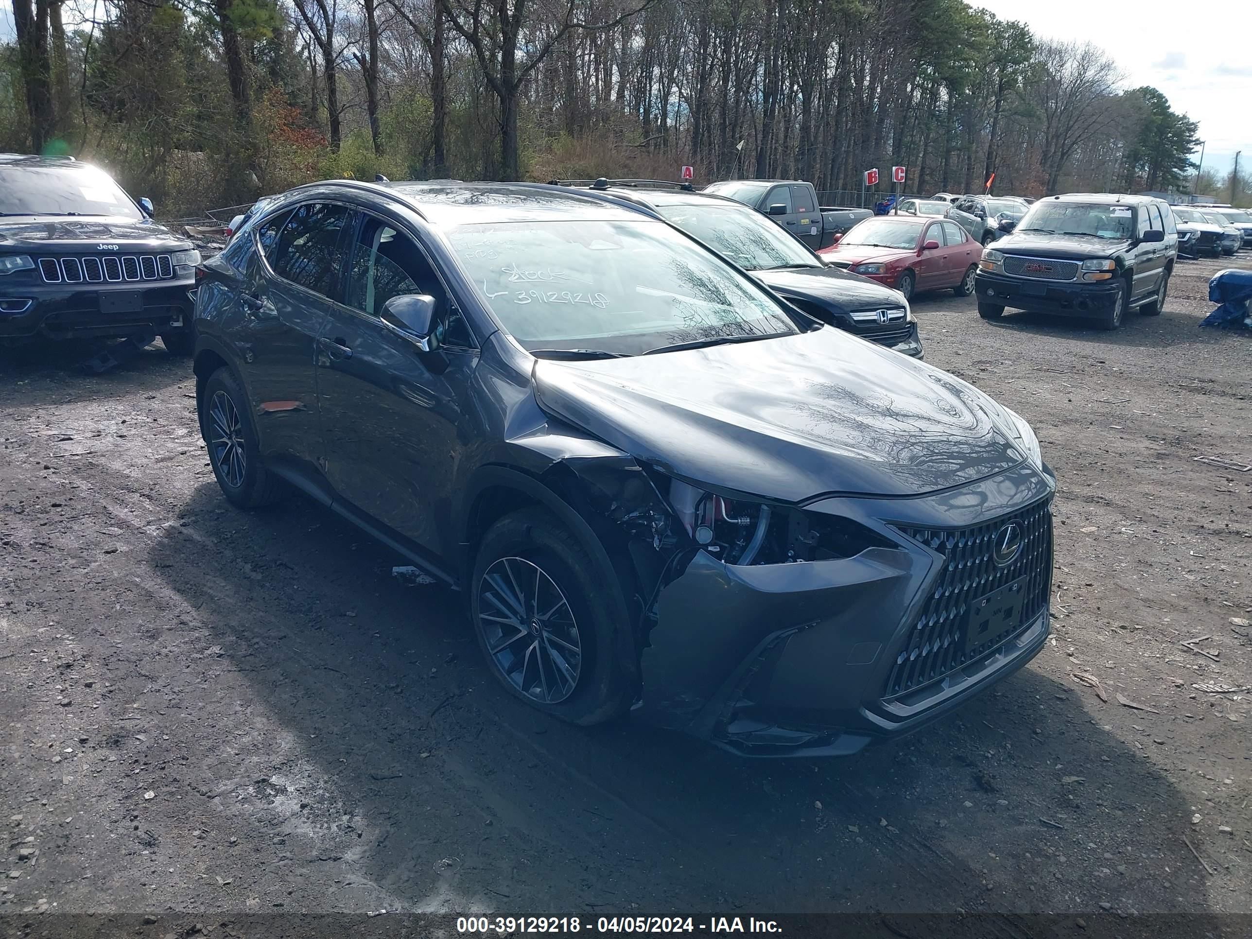 lexus nx 2024 2t2ggcez9rc058769