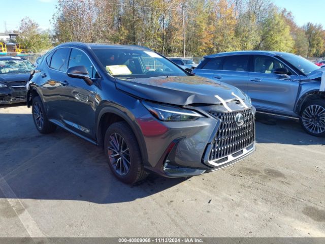 lexus nx 2023 2t2ggcezxpc030668