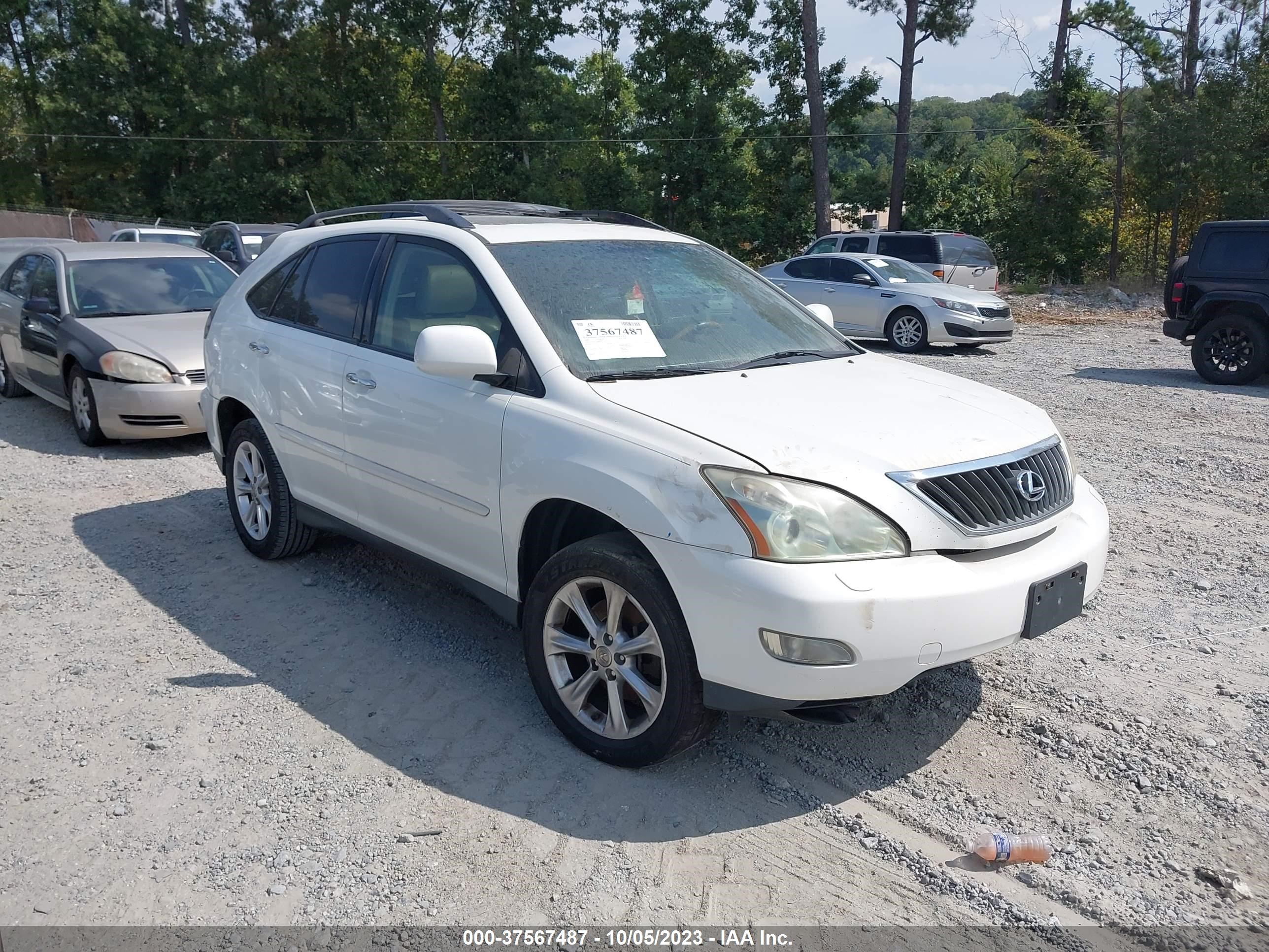 lexus rx 2009 2t2gk31u69c075246