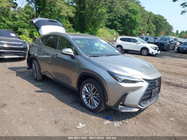 lexus nx 2023 2t2gkcez0pc010198