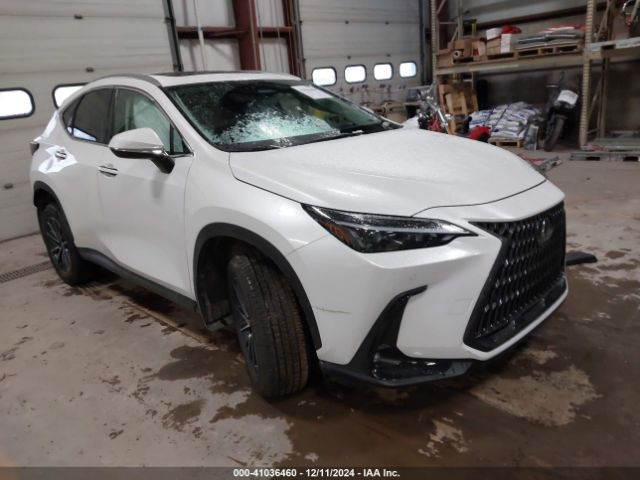 lexus nx 2023 2t2gkcez0pc013635