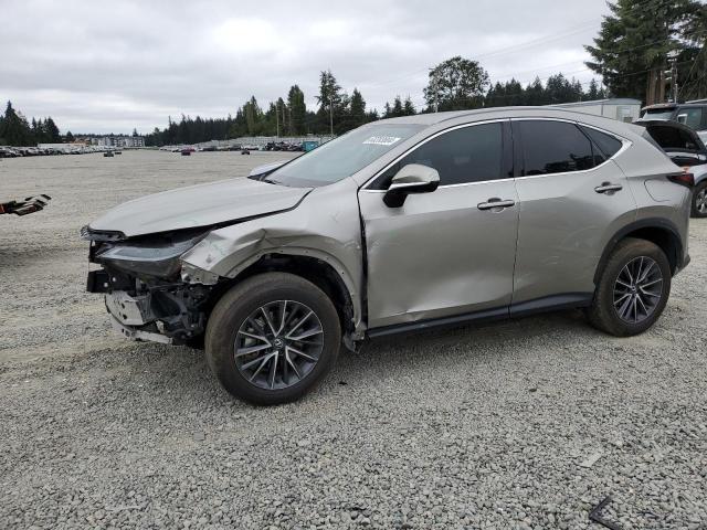 lexus nx 350h ba 2024 2t2gkcez0rc019289