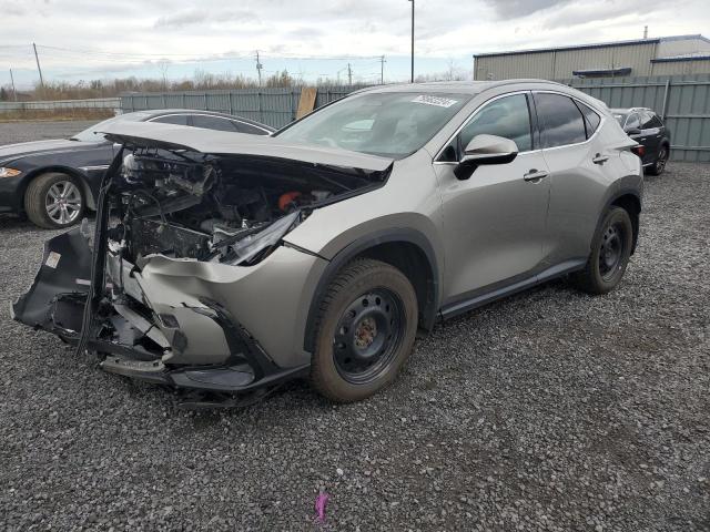 lexus nx 350h ba 2024 2t2gkcez1rc022136