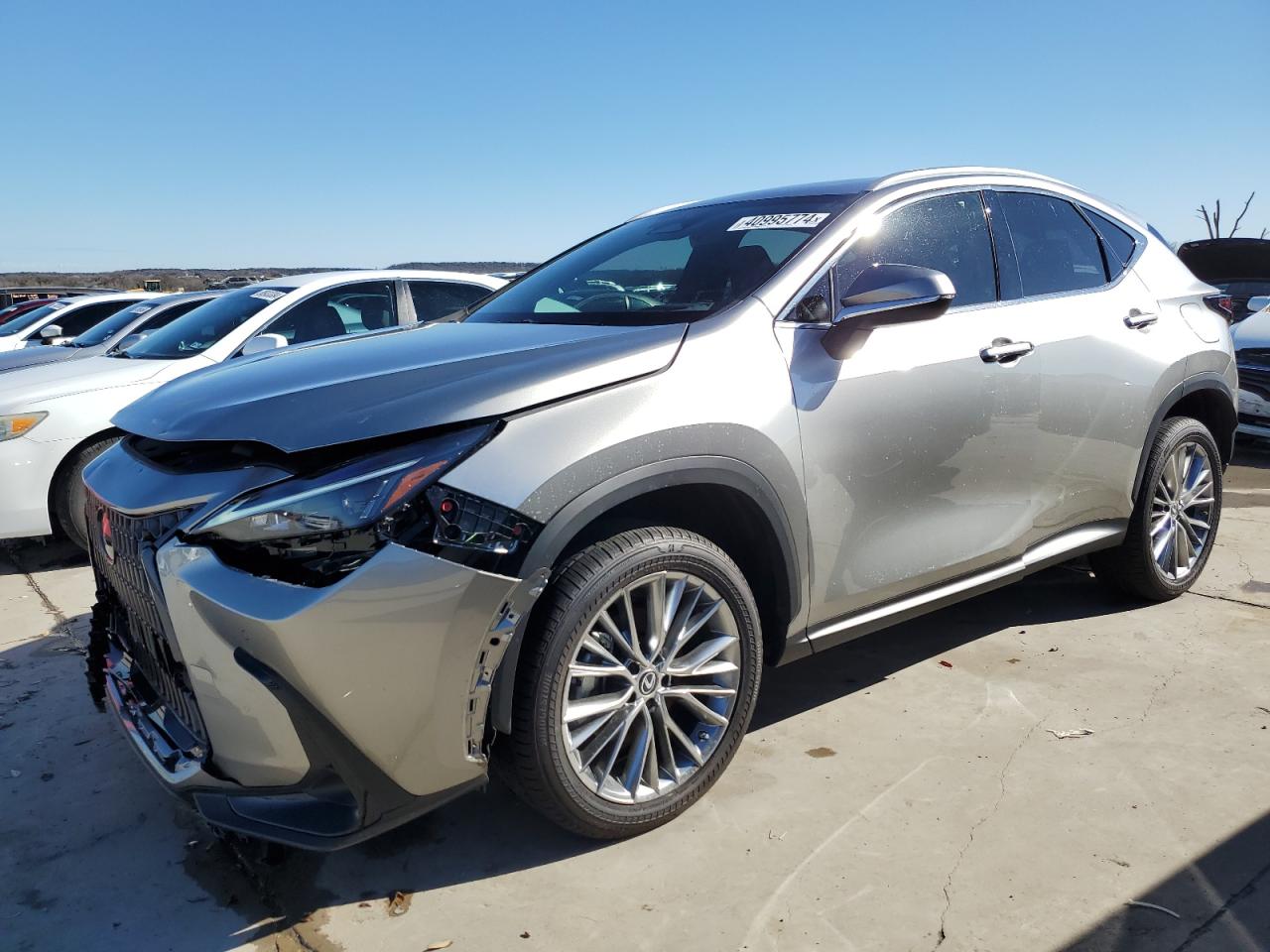 lexus nx 2022 2t2gkcez2nc007932