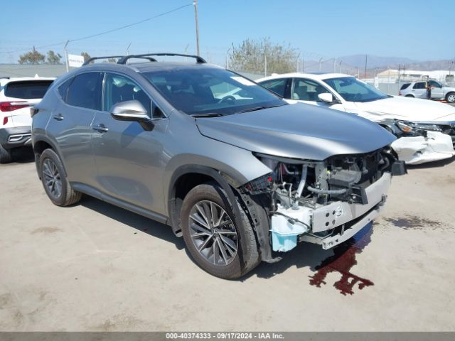 lexus nx 2024 2t2gkcez3rc020467