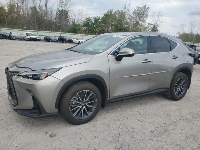 lexus nx 350h ba 2025 2t2gkcez3sc035198