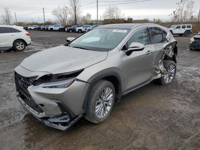 lexus nx 350h ba 2024 2t2gkcez8rc020917